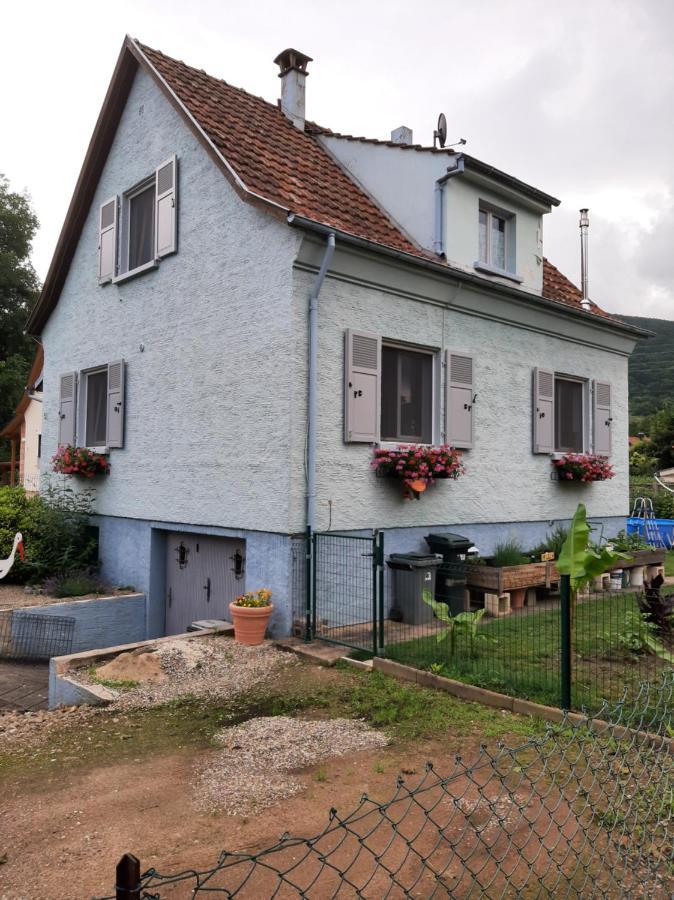 Gite Les Chiwawas D'Alsace Kaysersberg-Vignoble Exteriér fotografie