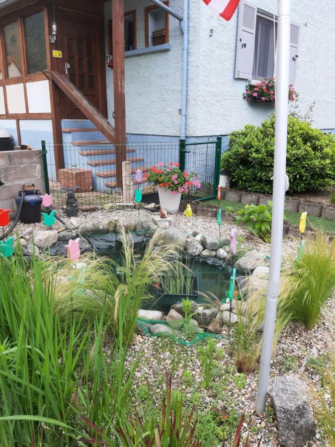 Gite Les Chiwawas D'Alsace Kaysersberg-Vignoble Exteriér fotografie